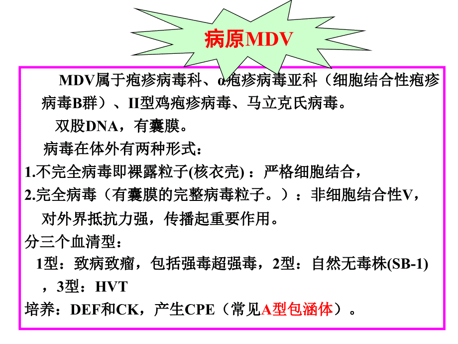 聊城大学农学院禽病学课件第三章病毒病6_第4页