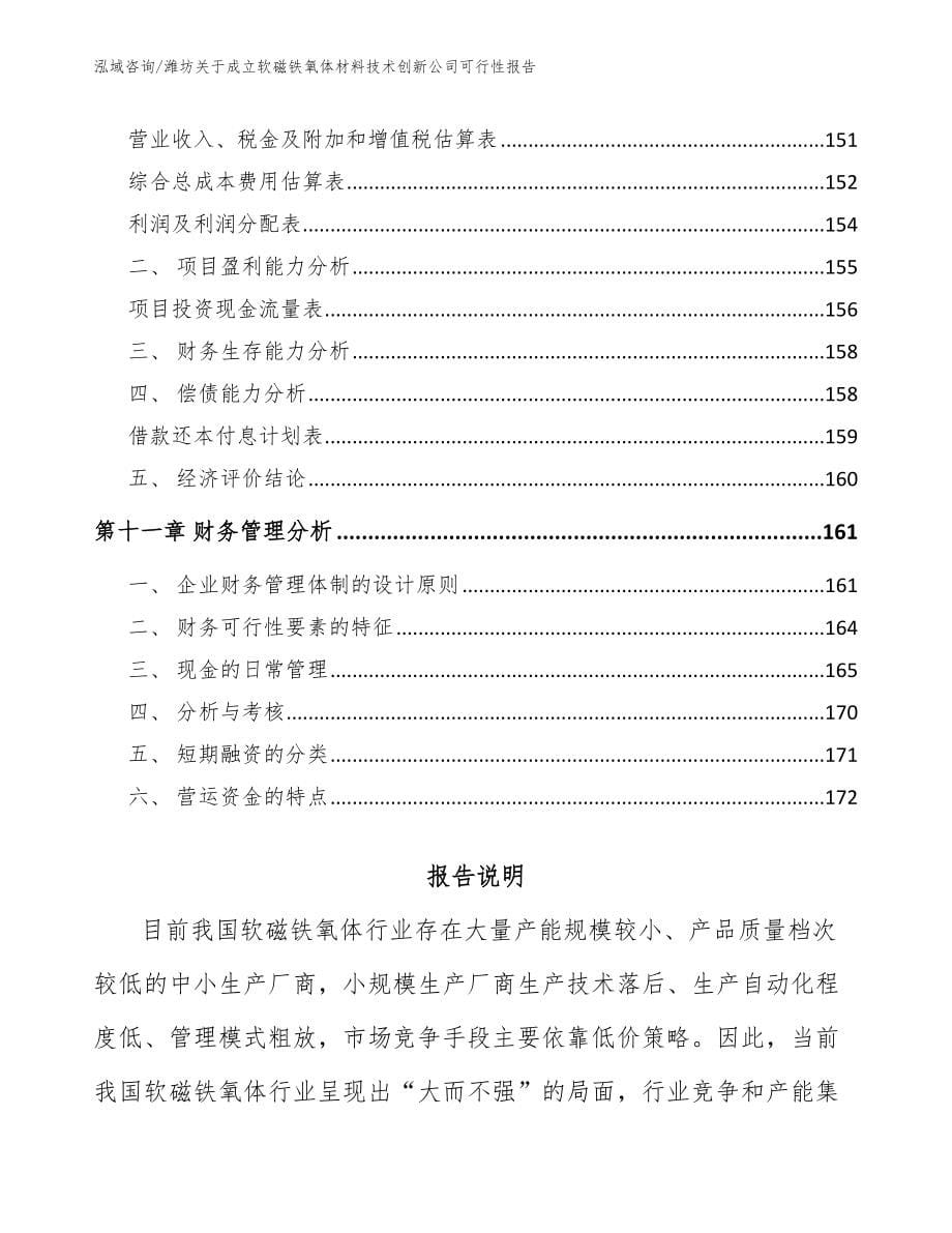 潍坊关于成立软磁铁氧体材料技术创新公司可行性报告（参考范文）_第5页