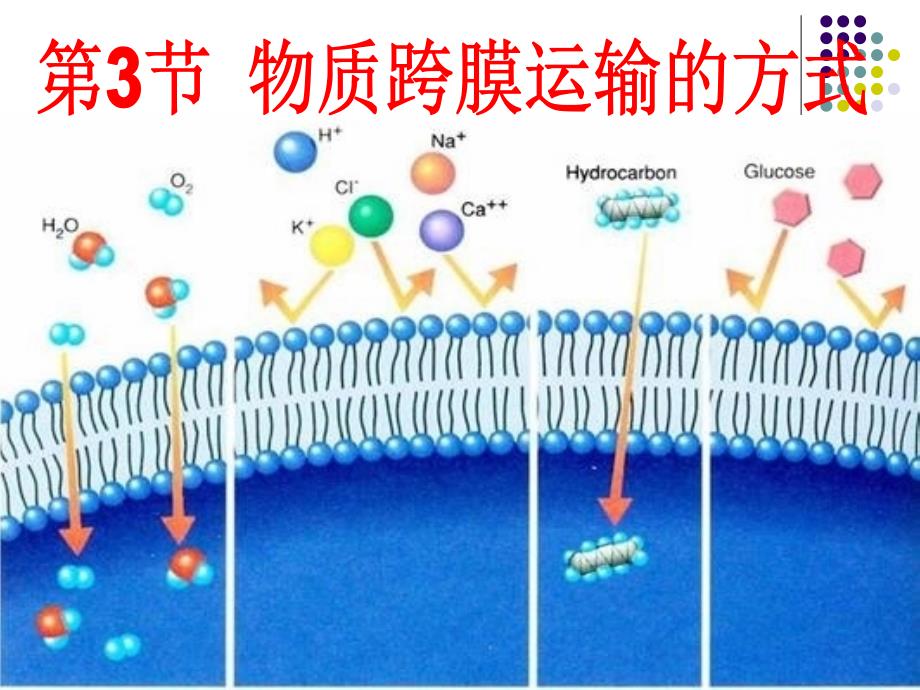 跨膜运输的方式_第1页