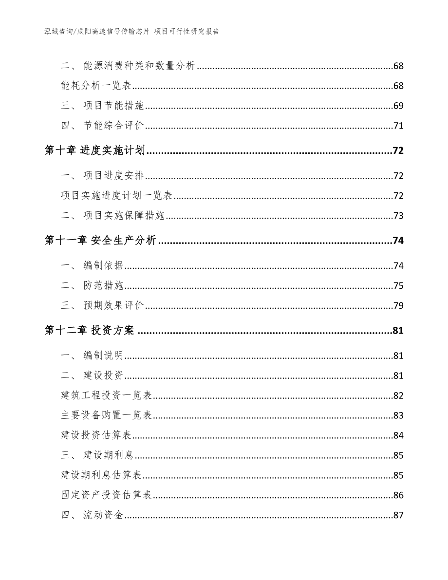 咸阳高速信号传输芯片 项目可行性研究报告（范文参考）_第4页