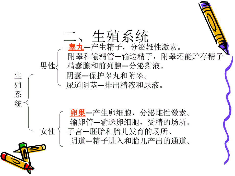 专题四人体营养物_第2页