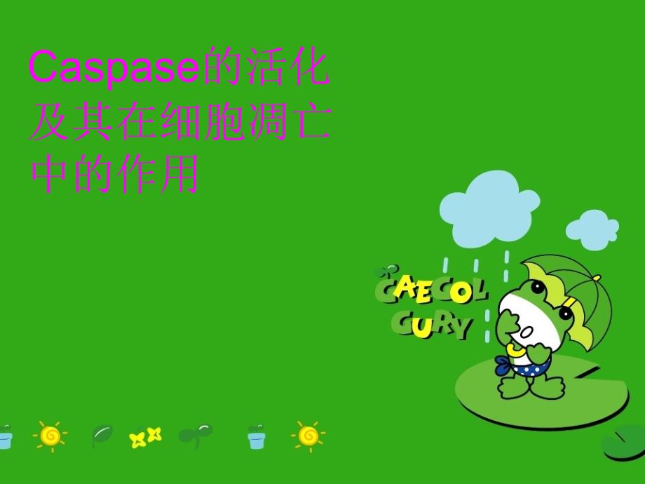 Caspase的活化及其在细胞凋亡中的作用备课讲稿_第1页