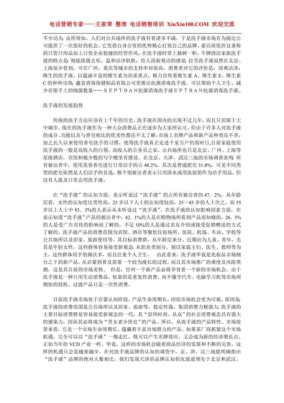 王家荣-中国洗手液市场分析.doc_第5页