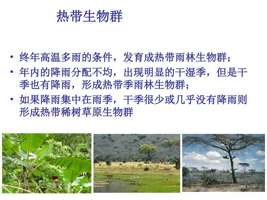 生物地理学热带生物群_第2页