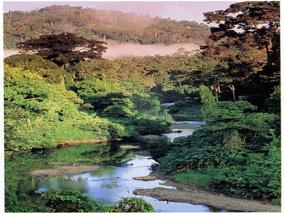 生物地理学热带生物群_第3页