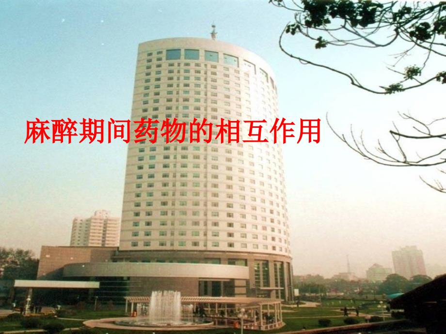麻醉期间药物的相互作用_第1页
