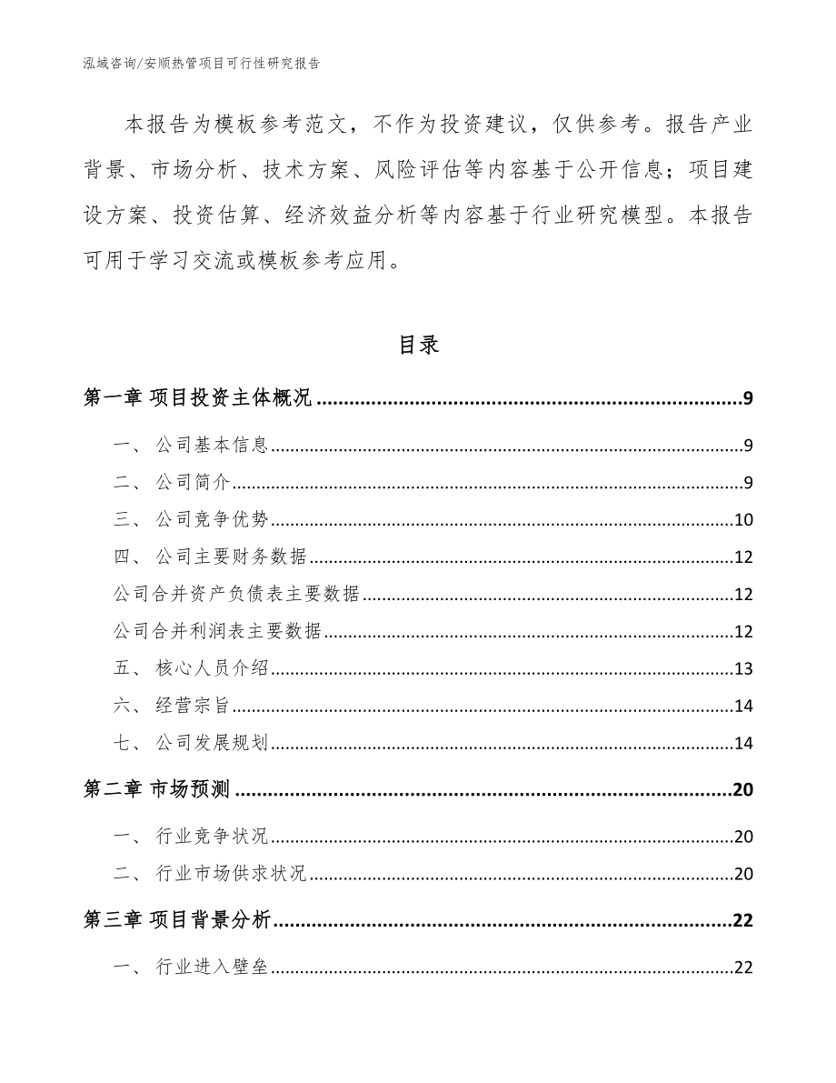 安顺热管项目可行性研究报告【参考模板】_第2页