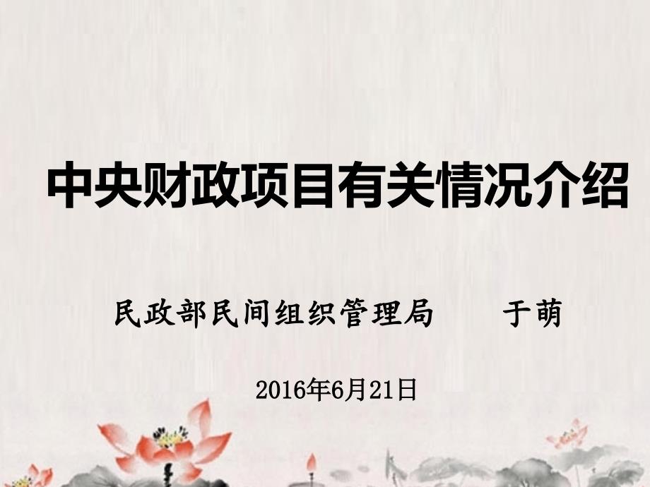 中央财政支持社会组织发展项目基本情况课件_第1页