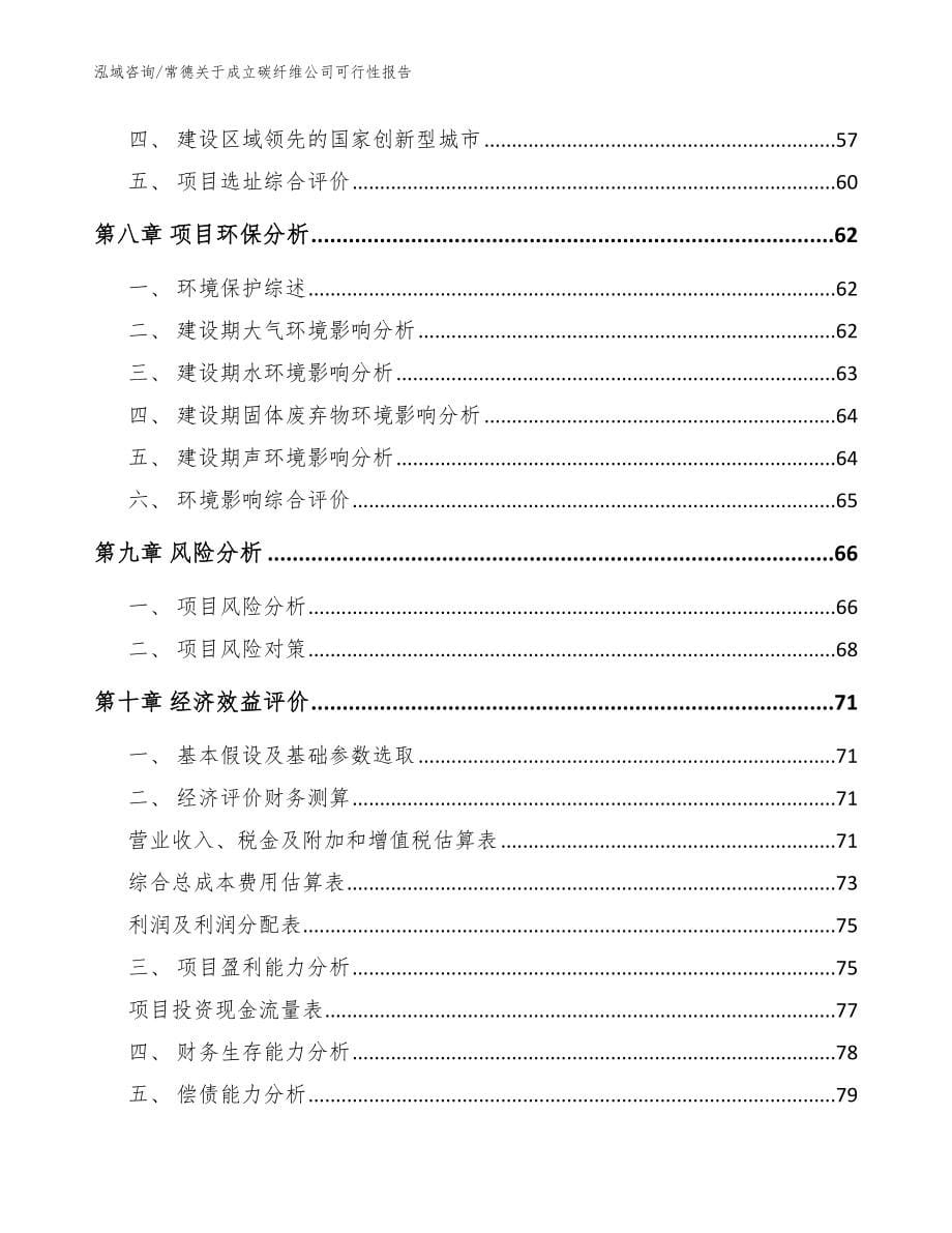 常德关于成立碳纤维公司可行性报告_参考模板_第5页