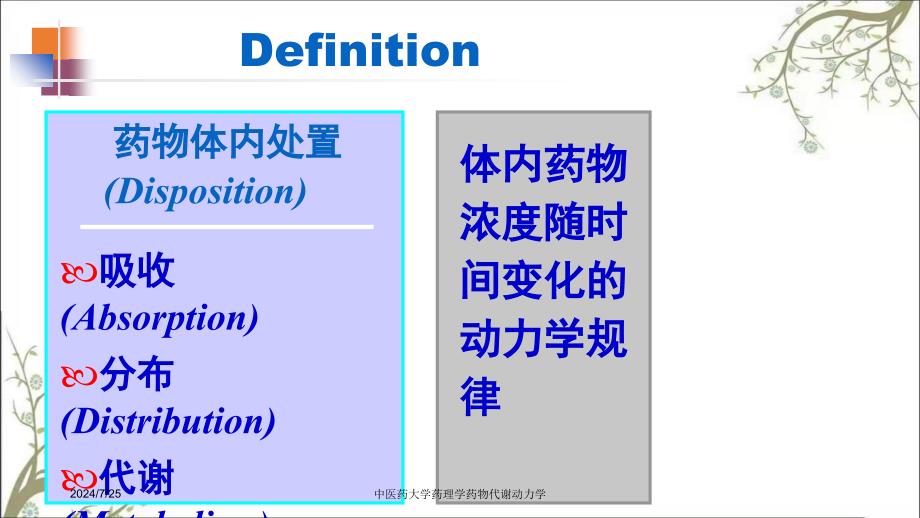 中医药大学药理学药物代谢动力学_第4页