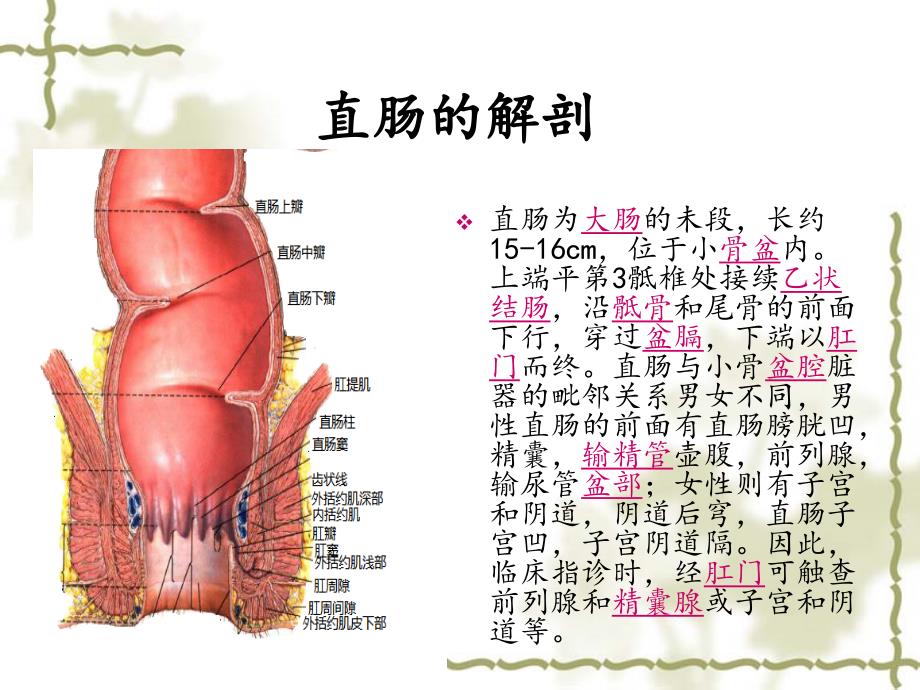 直肠穿孔的护理查房_第3页