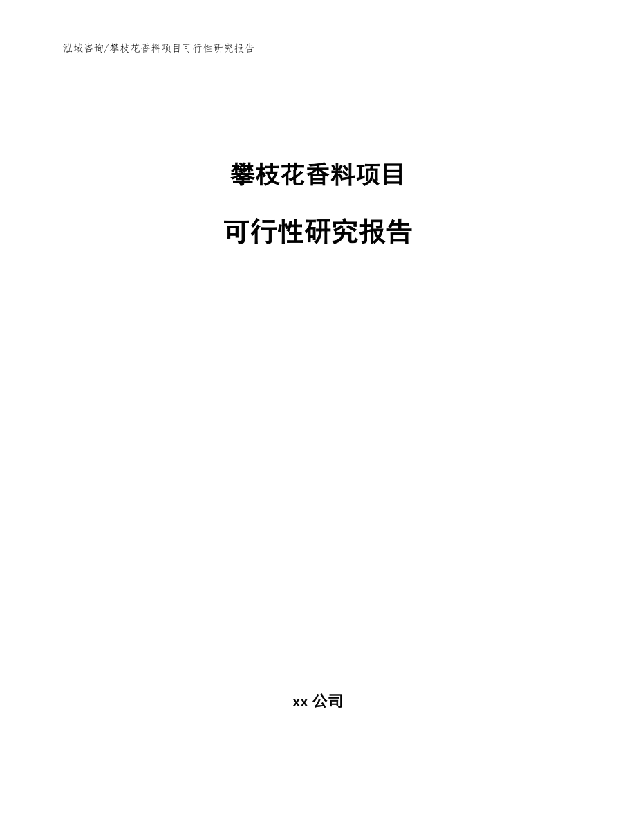 攀枝花香料项目可行性研究报告模板参考_第1页