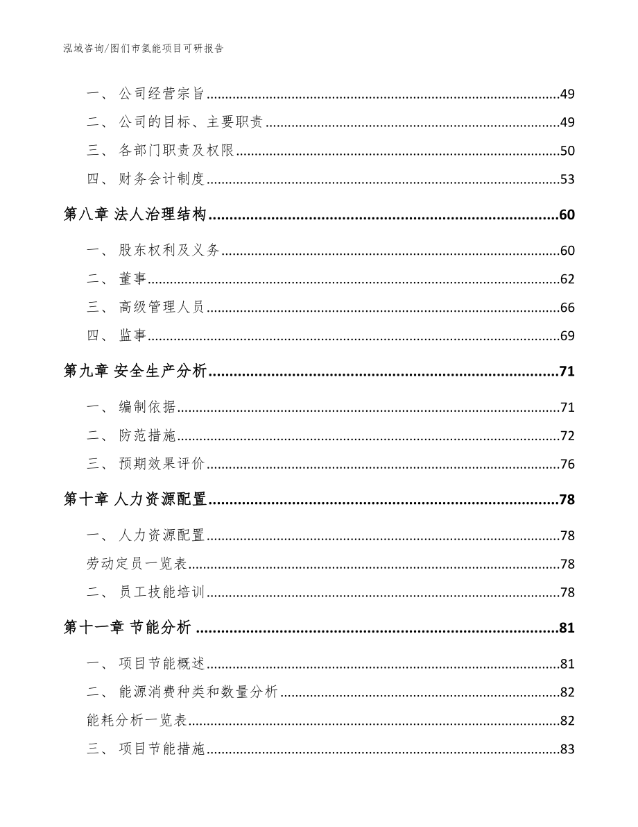 图们市氢能项目可研报告_模板范文_第3页