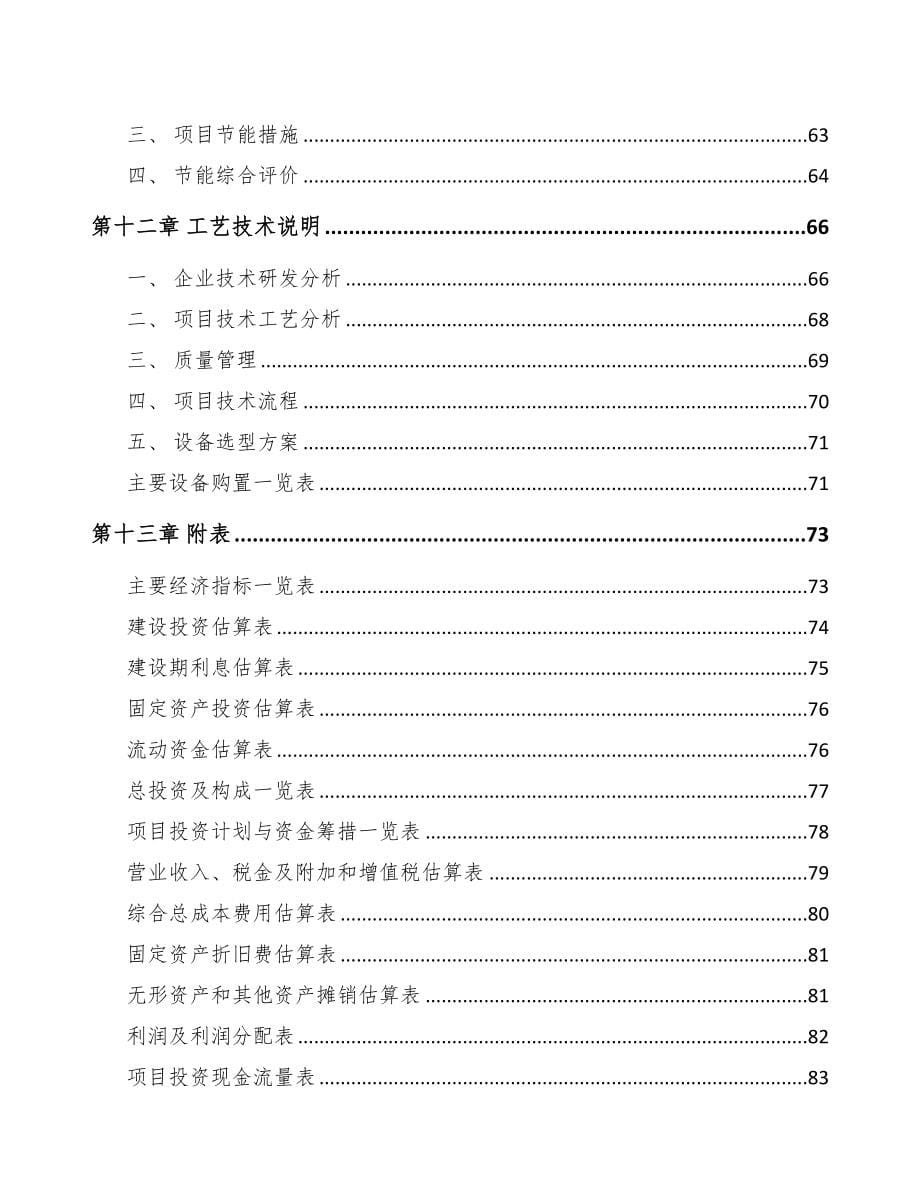 福州微型电机项目可行性研究报告(DOC 61页)_第5页