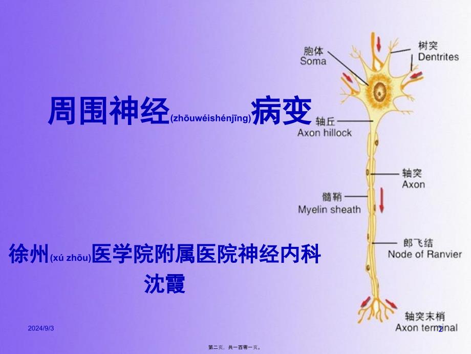 医学专题—周围神经病变_第2页