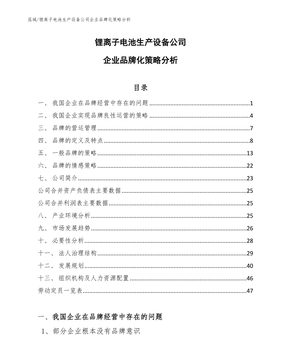 锂离子电池生产设备公司企业品牌化策略分析（范文）_第1页