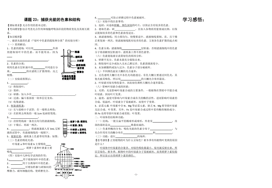 课题23：捕获光能的色素和结构-学生版.doc_第1页