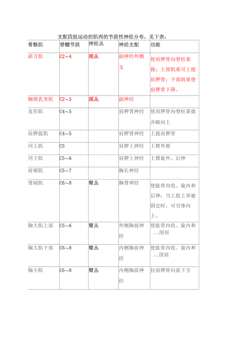 肌肉和节段_第2页