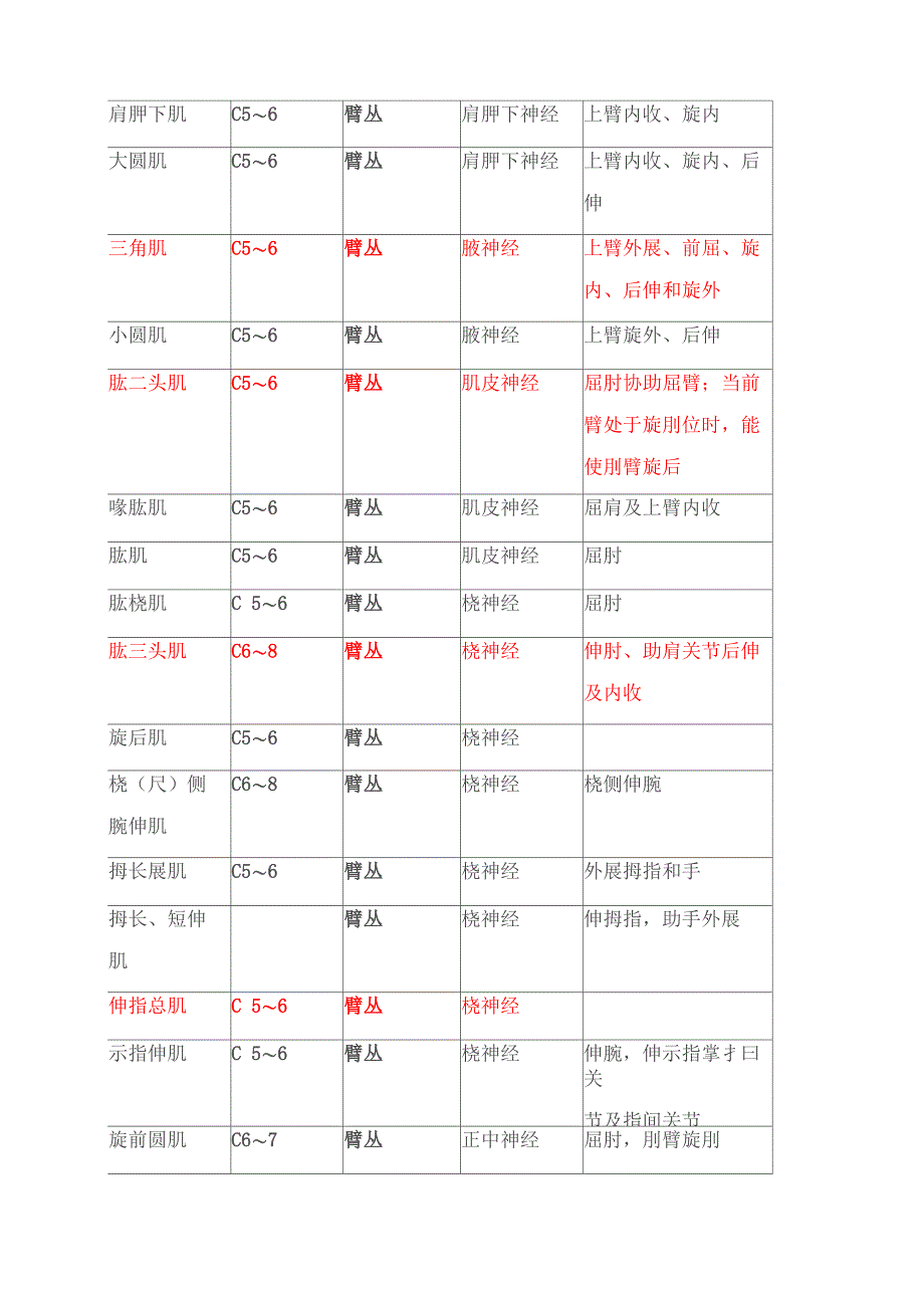 肌肉和节段_第3页