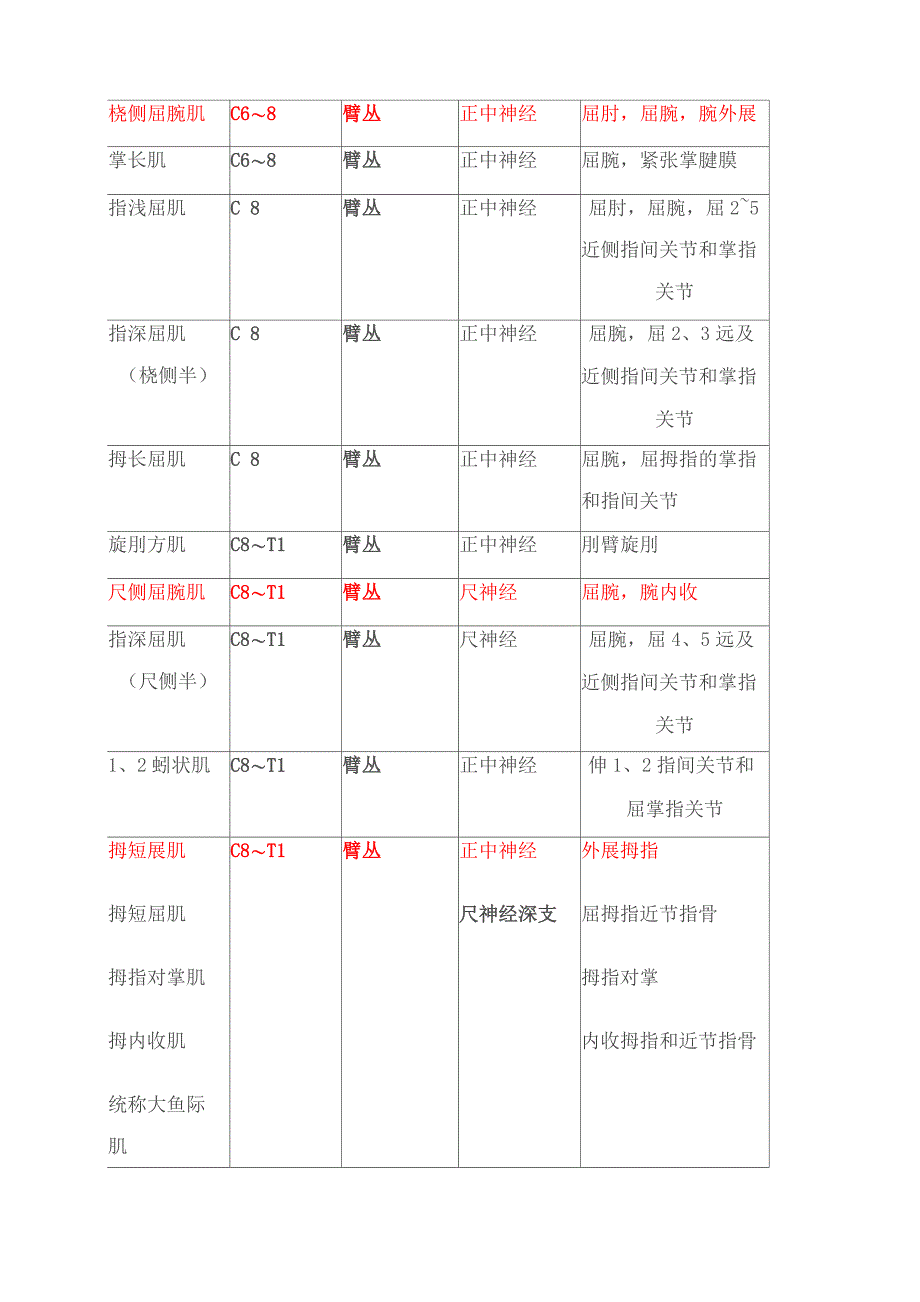 肌肉和节段_第4页