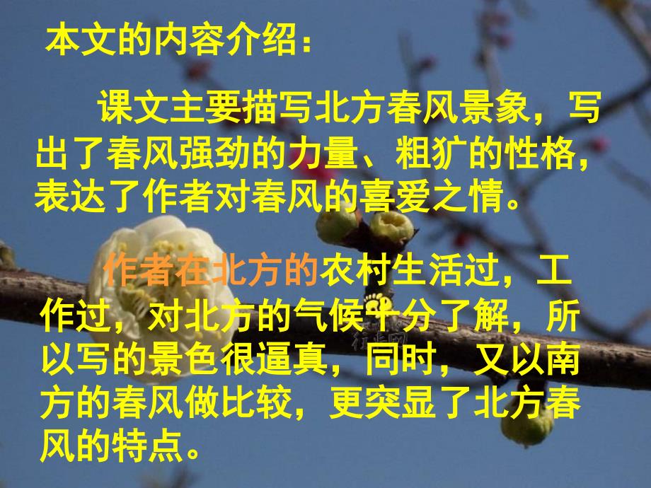 希望与失望共存在每一个人身上聪明的人特别看中今天_第4页