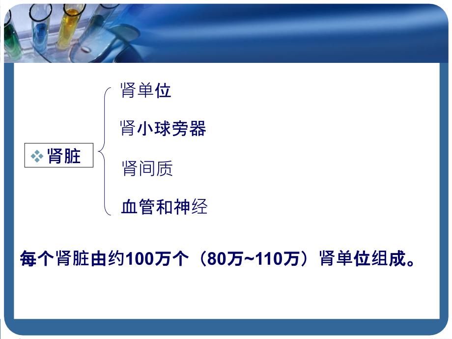 内科学泌尿系统疾病总论精选文档_第4页