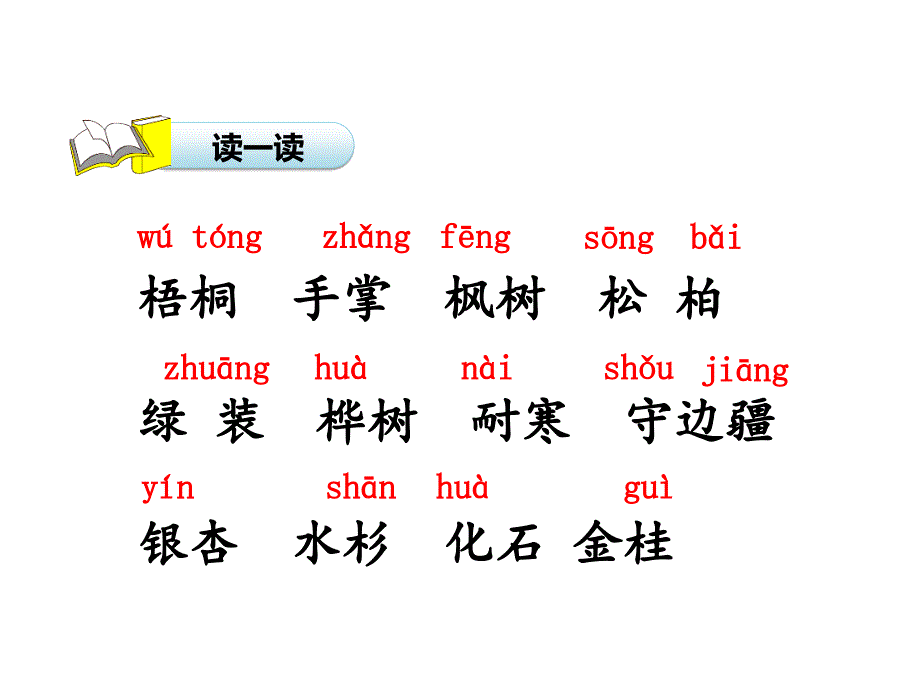 树之歌优质教学课件_第4页