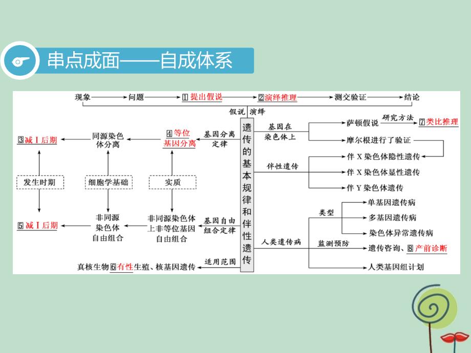 2019高考生物二轮复习 专题三 遗传 第2讲 遗传规律、伴性遗传 第Ⅰ课时 基础自查&amp;mdash;&amp;mdash;学生为主体 抓牢主干以不变应万变课件_第3页