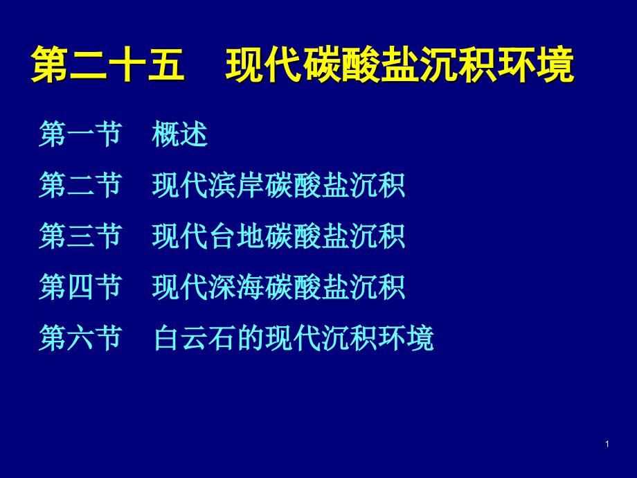 25现代海洋碳酸盐环境_第1页