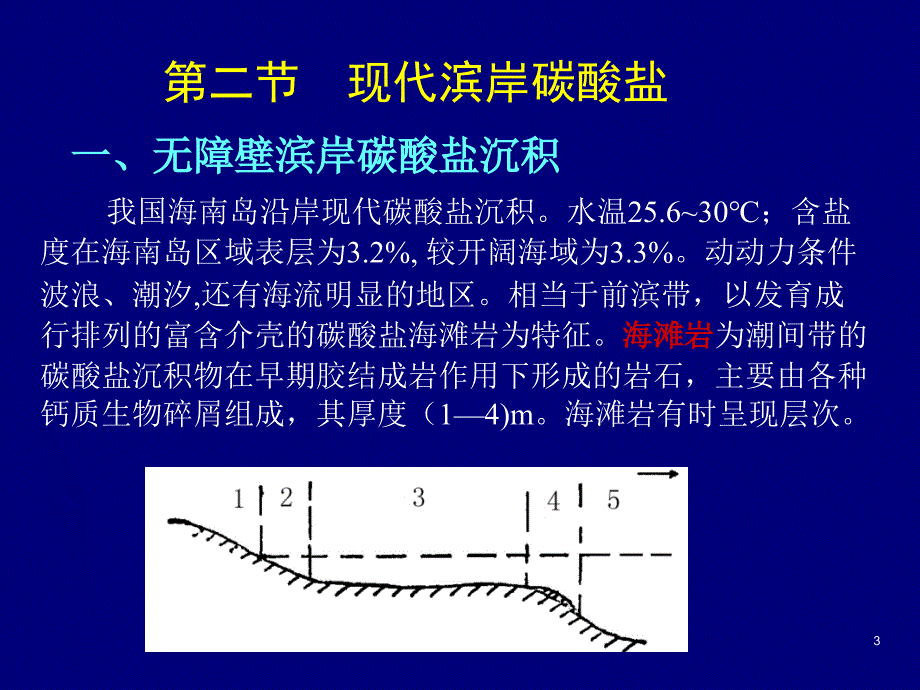 25现代海洋碳酸盐环境_第3页