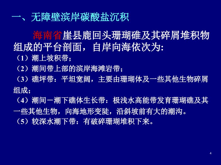 25现代海洋碳酸盐环境_第4页