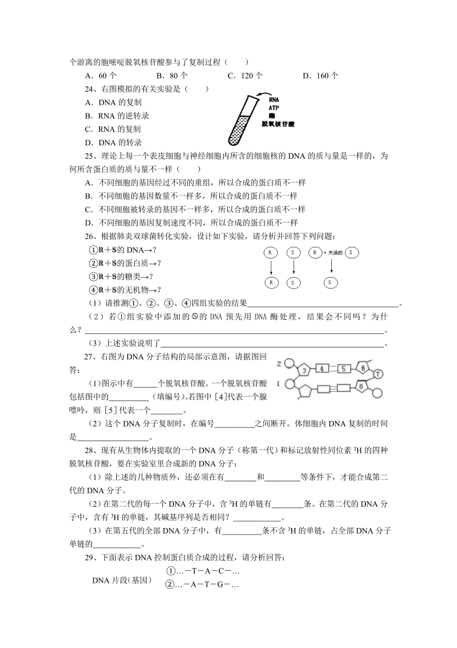 2022年高一下学期第五次周练生物试题 含答案_第3页