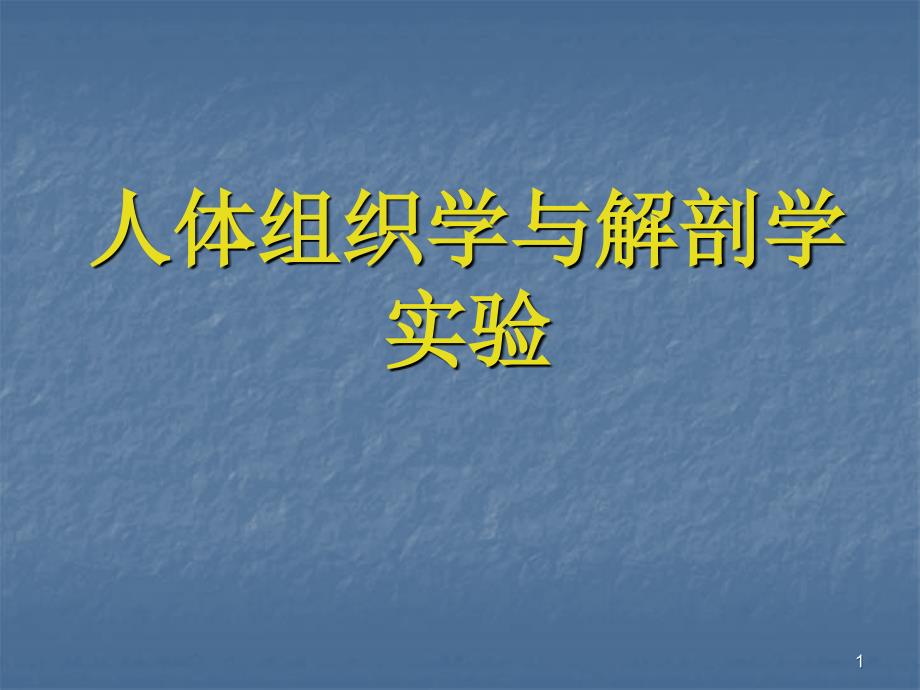 免疫系统组成及各部分结构观察_第1页