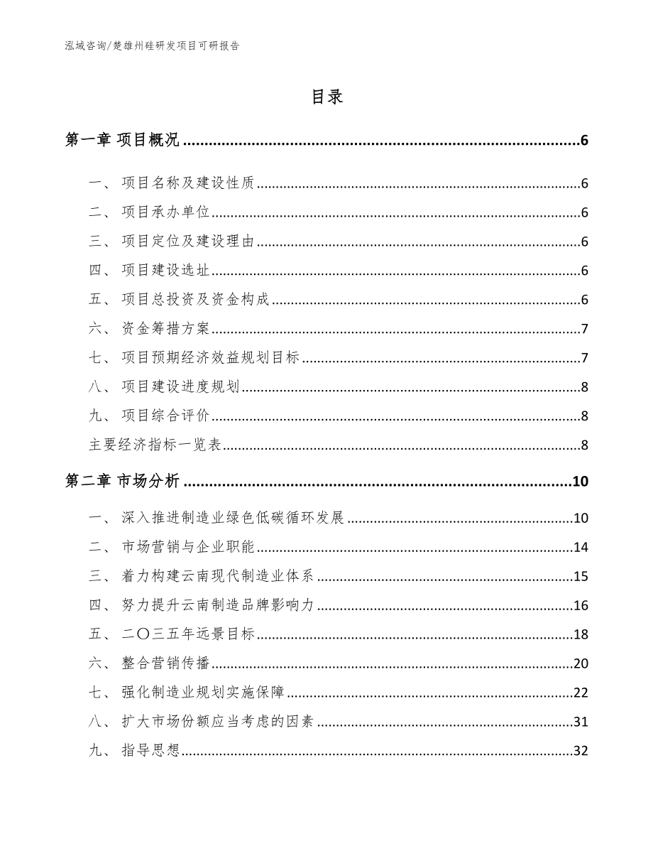 楚雄州硅研发项目可研报告【模板参考】_第1页