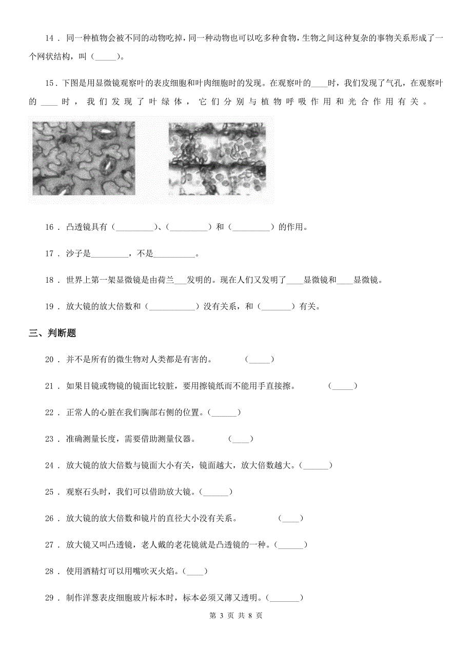 四川省科学六年级下册第一单元微小世界测试卷_第3页