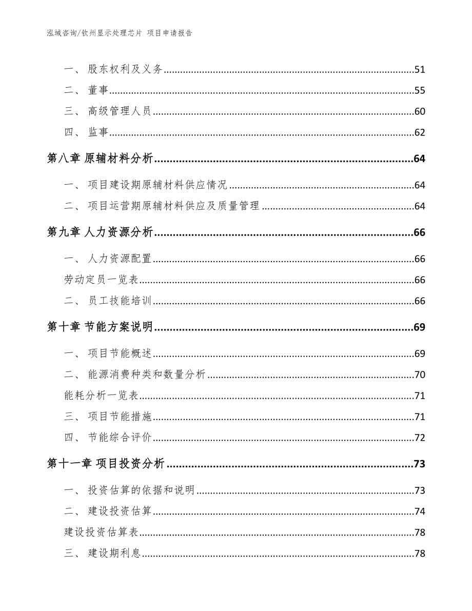 钦州显示处理芯片 项目申请报告范文参考_第5页