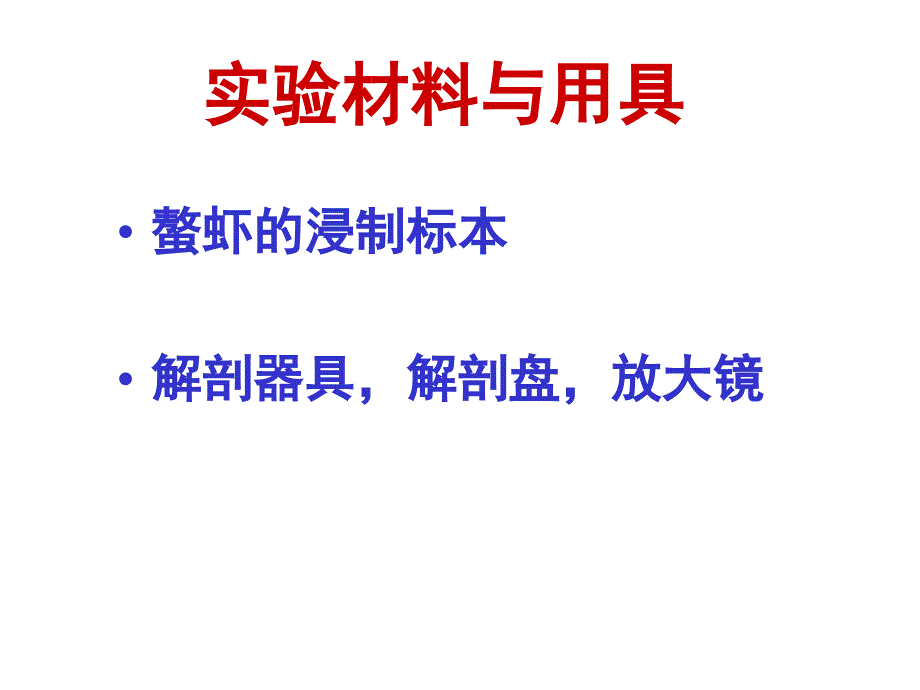 螯虾的解剖PPT课件_第4页