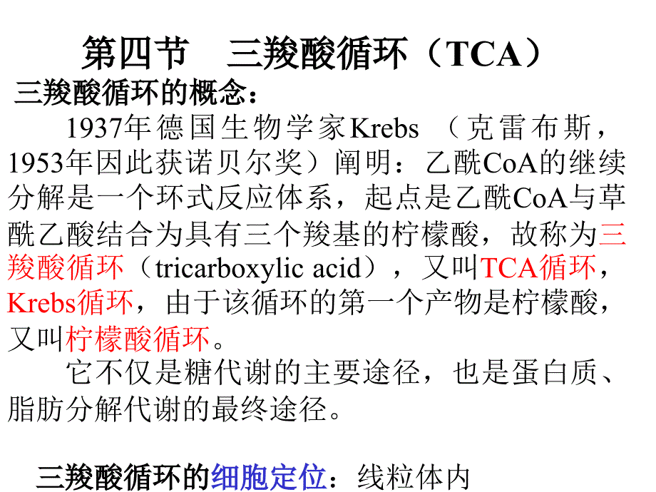 三羧酸循环(TCA)_第1页