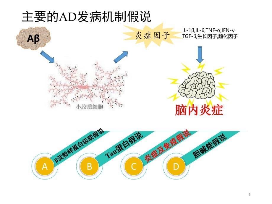 阿尔茨海默防治策略ppt演示课件_第5页