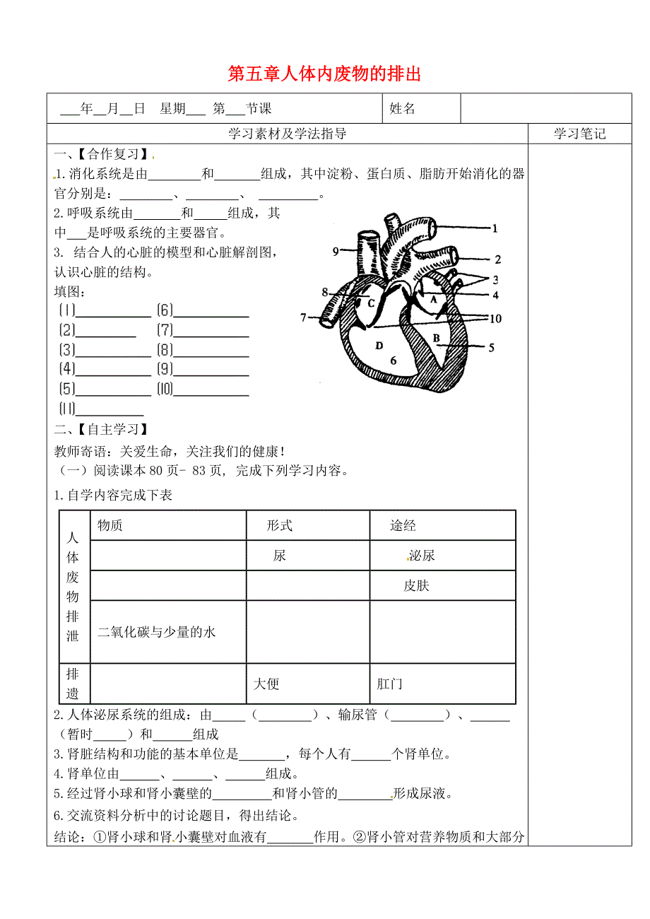 内蒙古鄂尔多斯东胜区正东中学七年级生物下册第四单元第五章人体内废物的排出学案2无答案新人教版通用_第1页