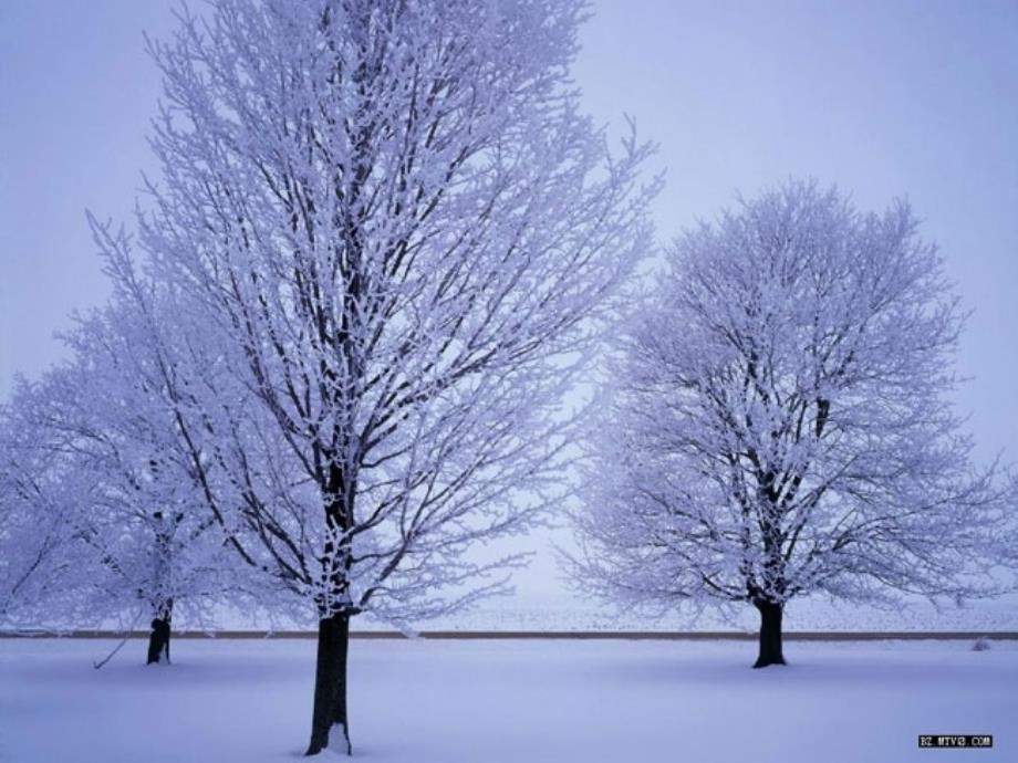 人教版小学二年级语文上册课件----12看雪_第4页