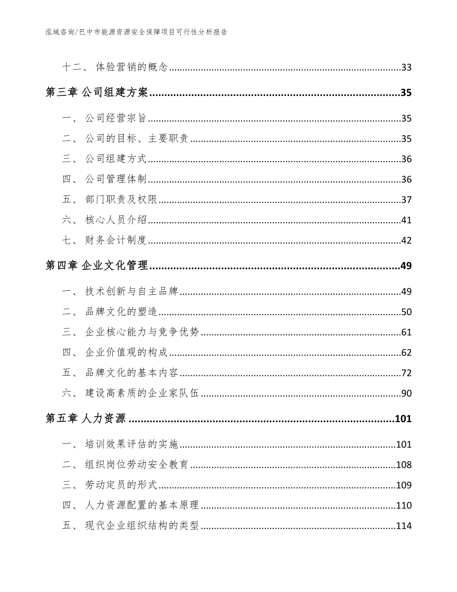 巴中市能源资源安全保障项目可行性分析报告_参考范文_第4页