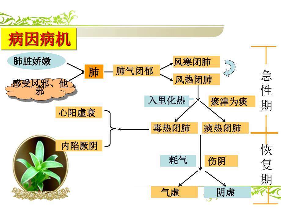 中诊科普1小儿肺炎喘嗽_第4页