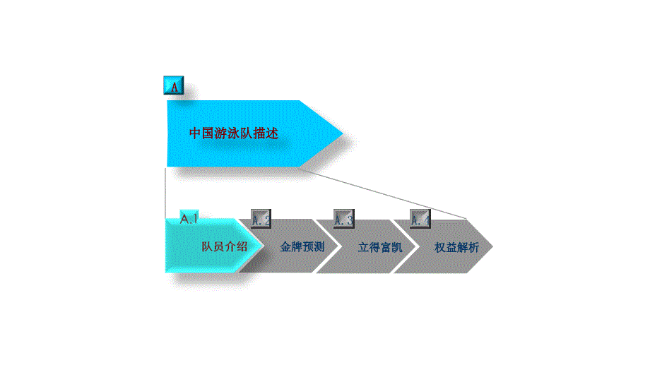 中国国家游泳队与体育经纪公司合作方案_第2页