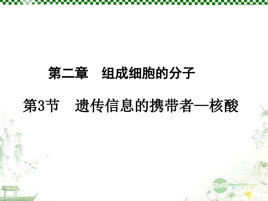 遗传信息的携带者—核酸_第1页