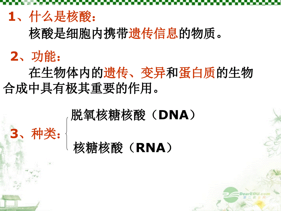 遗传信息的携带者—核酸_第2页