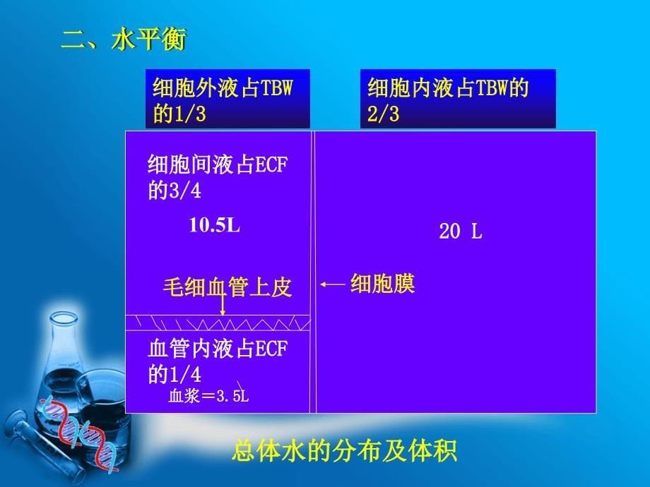 第八部分体液平衡与酸碱平衡紊乱名师编辑PPT课件_第5页