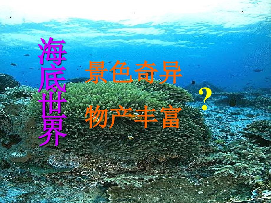 海底世界教学课件知识讲解_第2页