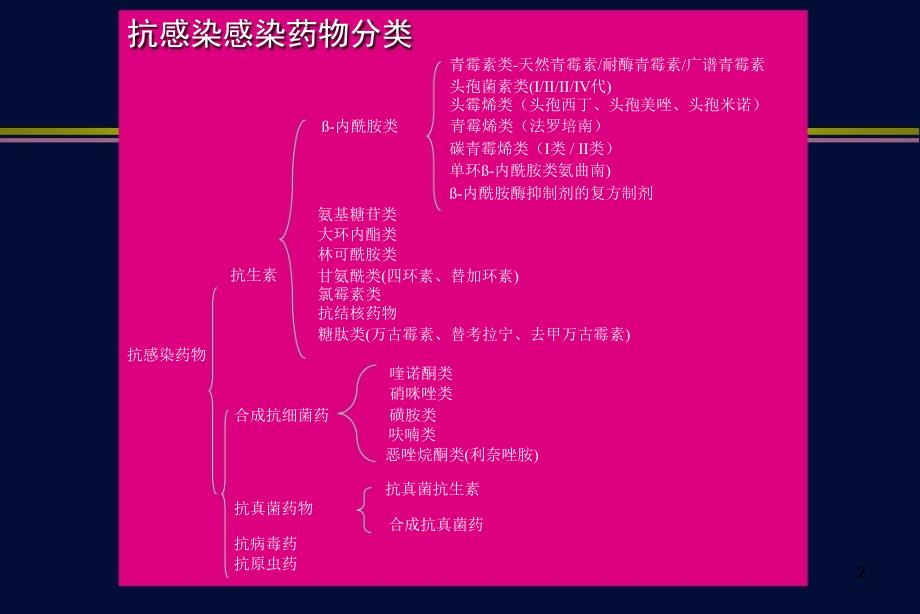 5大环内脂氨基糖苷林可酰胺与多粘菌素类药物1_第2页