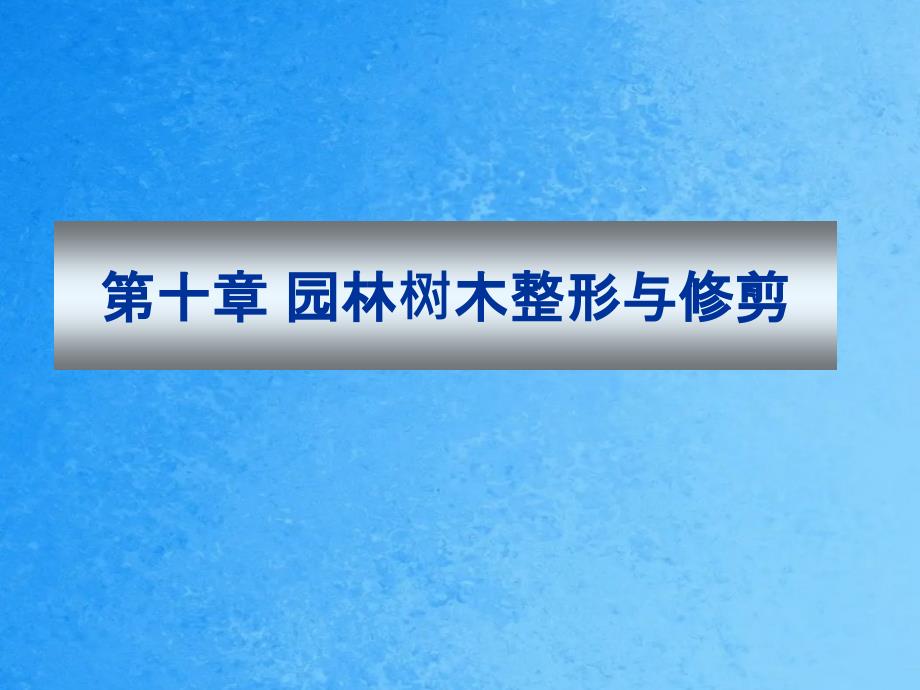 第十章园林树木整形与修剪ppt课件_第1页